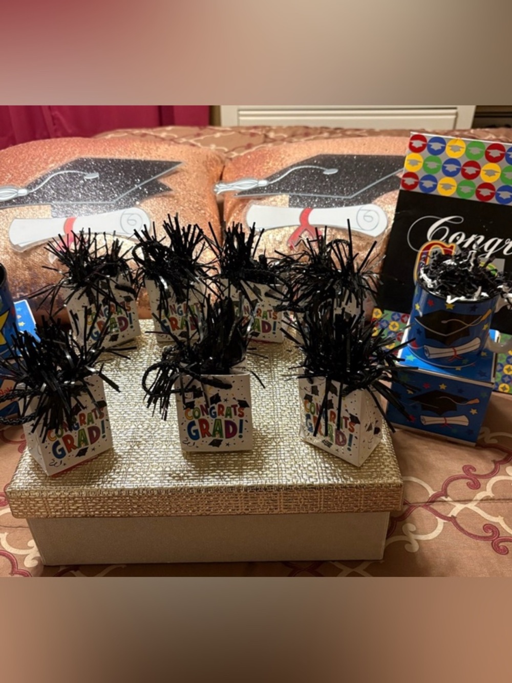 Graduation bundle. 7 cute balloon weights, 1 NWT mug w/ box, 2 wall decor